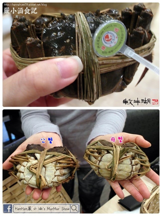 牧牛湖大閘蟹✤秋蟹大閘蟹✤魚霸✤Openrice✤台北內湖美食✤捷運西湖站✤網購美食 牧牛湖大閘蟹✤秋蟹大閘蟹✤魚霸✤Openrice✤台北內湖美食✤捷運西湖站✤網購美食