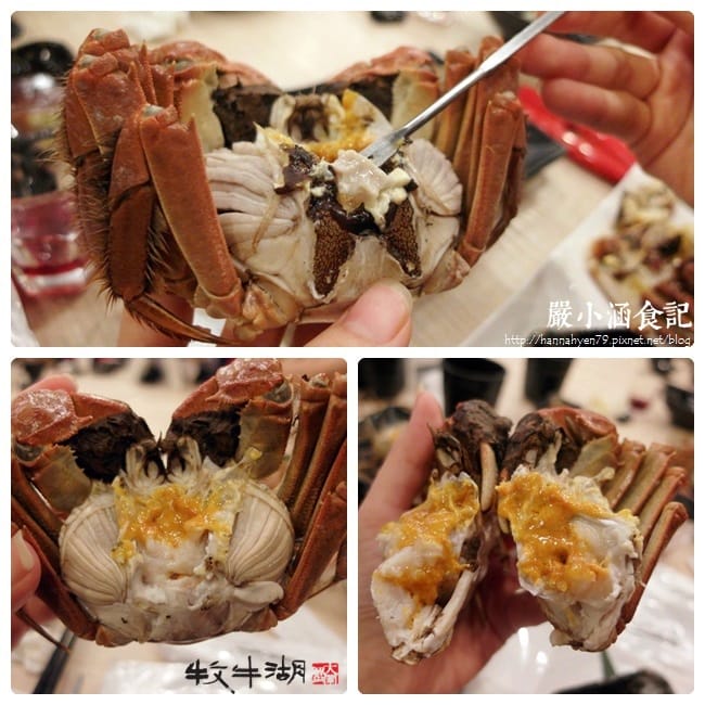 牧牛湖大閘蟹✤秋蟹大閘蟹✤魚霸✤Openrice✤台北內湖美食✤捷運西湖站✤網購美食 牧牛湖大閘蟹✤秋蟹大閘蟹✤魚霸✤Openrice✤台北內湖美食✤捷運西湖站✤網購美食