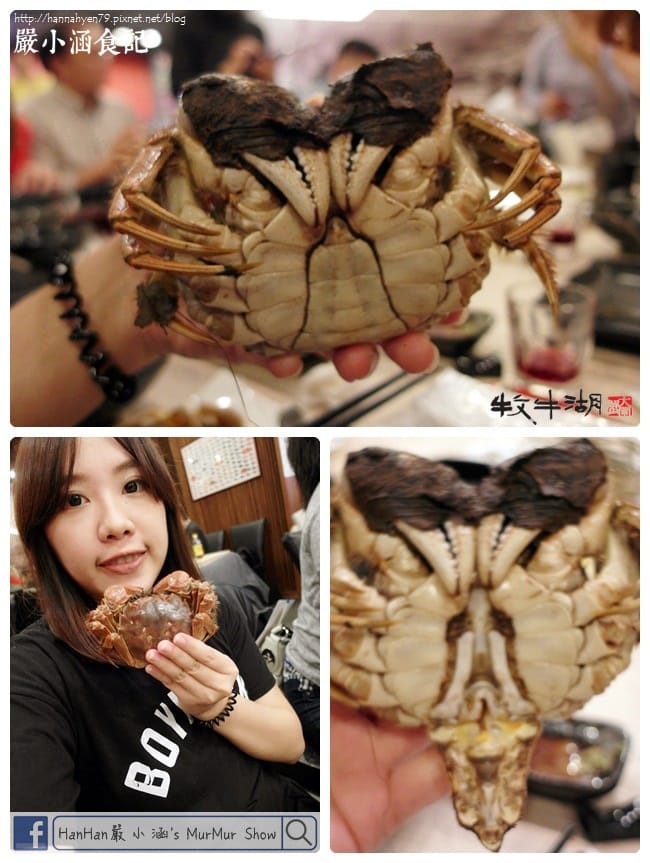 牧牛湖大閘蟹✤秋蟹大閘蟹✤魚霸✤Openrice✤台北內湖美食✤捷運西湖站✤網購美食 牧牛湖大閘蟹✤秋蟹大閘蟹✤魚霸✤Openrice✤台北內湖美食✤捷運西湖站✤網購美食