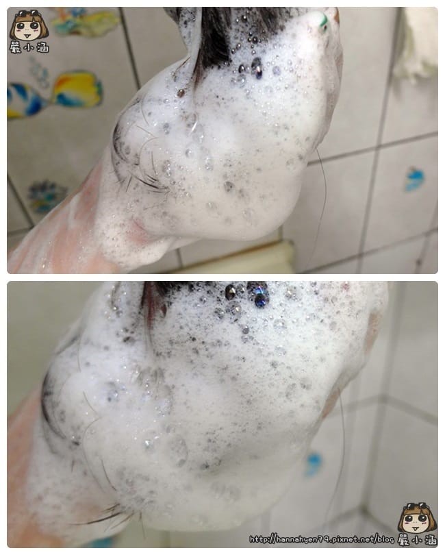 海倫仙度絲全新配方絲滑柔順去屑洗髮乳♥海倫仙度絲♥絲滑柔順去屑洗髮乳♥全新配方♥蔡依林♥Jolin♥P&G生活家♥P&G♥開架洗髮精♥開架洗髮精 推薦 海倫仙度絲全新配方絲滑柔順去屑洗髮乳♥海倫仙度絲♥絲滑柔順去屑洗髮乳♥全新配方♥蔡依林♥Jolin♥P&G生活家♥P&G♥開架洗髮精♥開架洗髮精 推薦