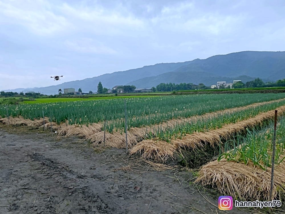 宜蘭三星║初咪體驗農場║宜蘭農場║DIY蔥麵包║蔥油餅║宜蘭旅遊║宜蘭景點║宜蘭民宿║我不要變成黃臉婆 宜蘭三星║初咪體驗農場║宜蘭農場║DIY蔥麵包║蔥油餅║宜蘭旅遊║宜蘭景點║宜蘭民宿║我不要變成黃臉婆