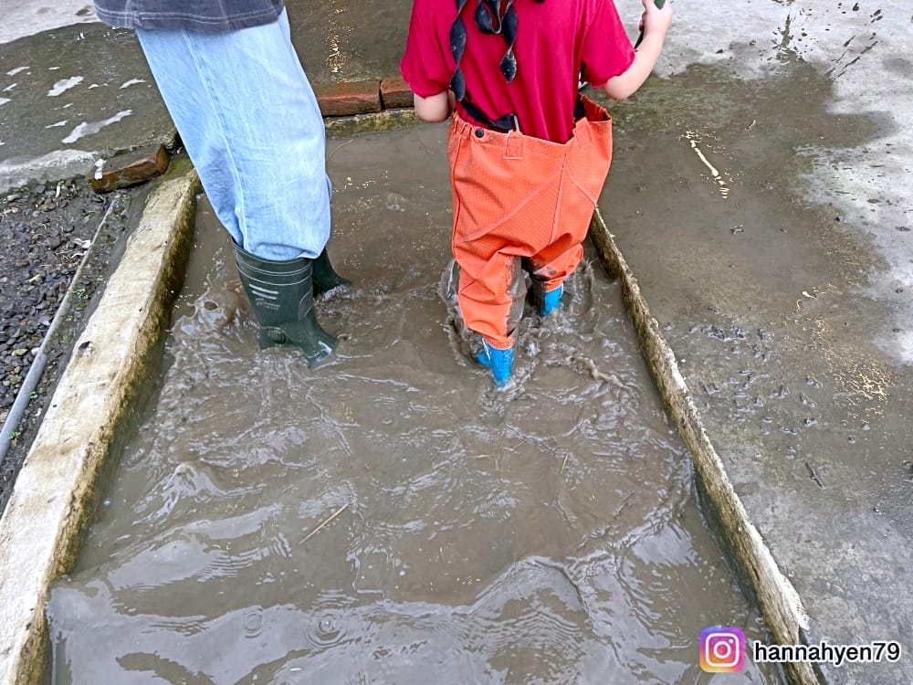 宜蘭三星║初咪體驗農場║宜蘭農場║DIY蔥麵包║蔥油餅║宜蘭旅遊║宜蘭景點║宜蘭民宿║我不要變成黃臉婆 宜蘭三星║初咪體驗農場║宜蘭農場║DIY蔥麵包║蔥油餅║宜蘭旅遊║宜蘭景點║宜蘭民宿║我不要變成黃臉婆