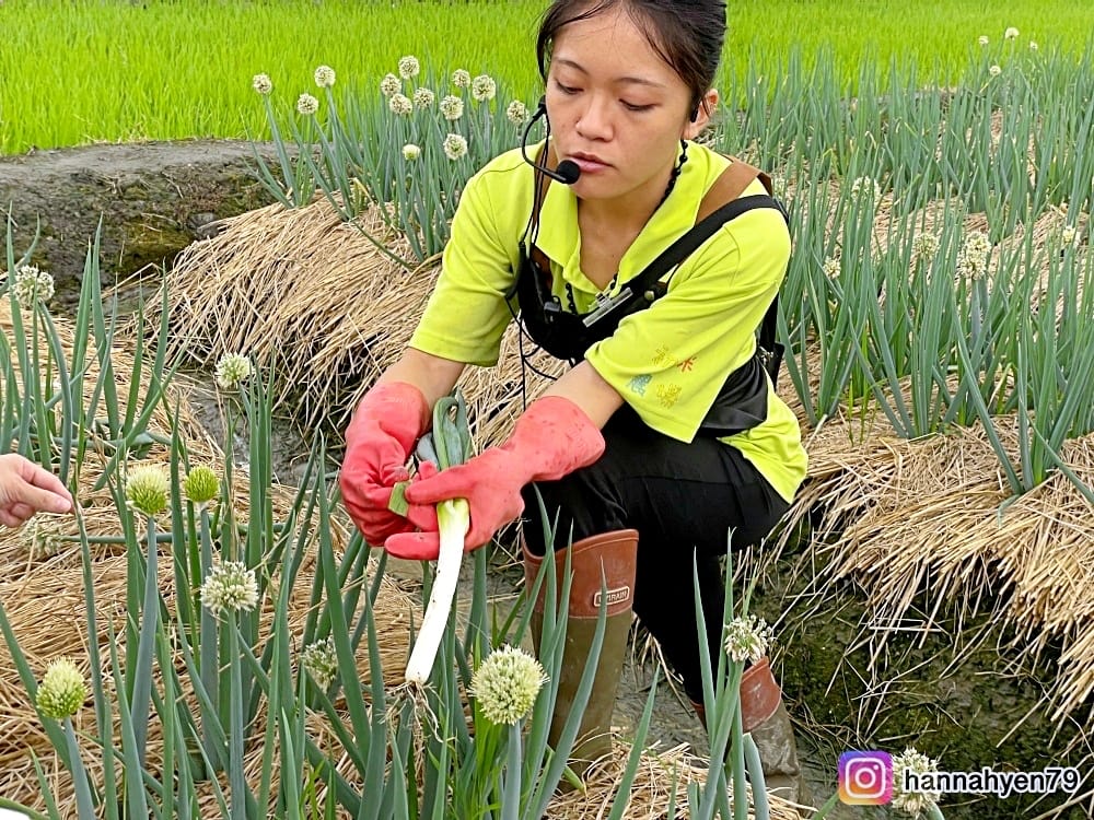 宜蘭三星║初咪體驗農場║宜蘭農場║DIY蔥麵包║蔥油餅║宜蘭旅遊║宜蘭景點║宜蘭民宿║我不要變成黃臉婆 宜蘭三星║初咪體驗農場║宜蘭農場║DIY蔥麵包║蔥油餅║宜蘭旅遊║宜蘭景點║宜蘭民宿║我不要變成黃臉婆