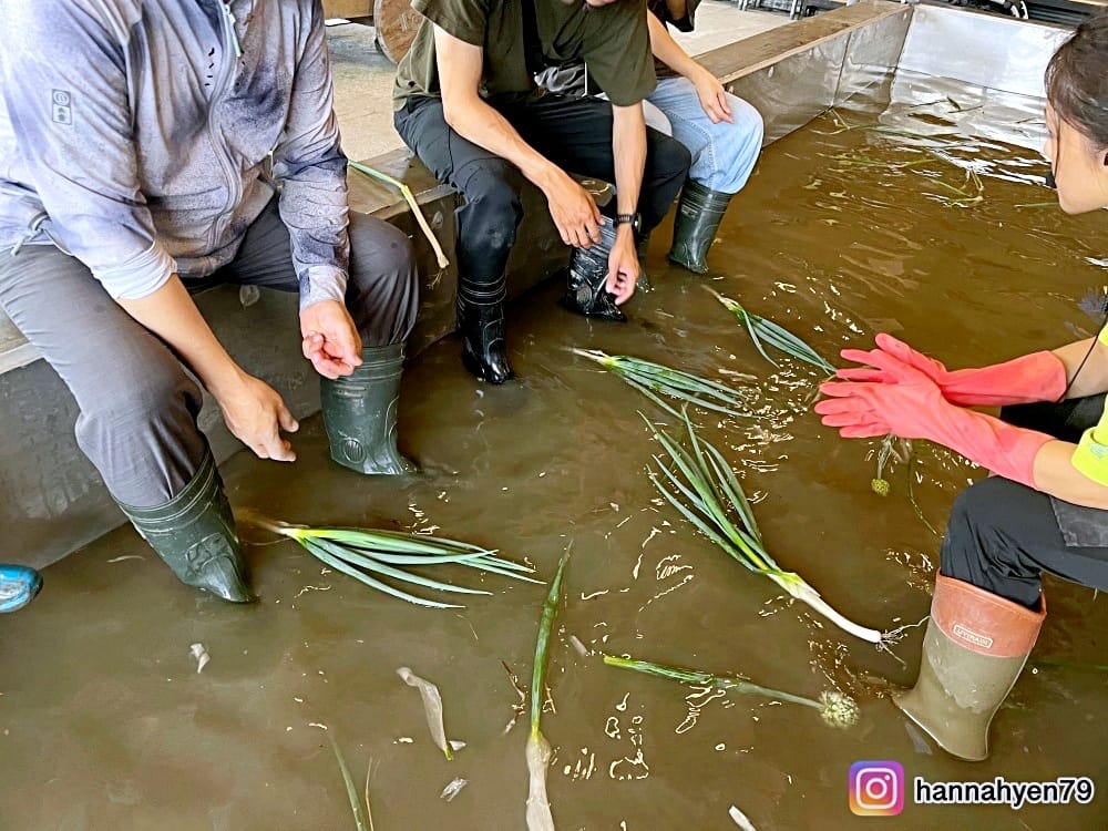 宜蘭三星║初咪體驗農場║宜蘭農場║DIY蔥麵包║蔥油餅║宜蘭旅遊║宜蘭景點║宜蘭民宿║我不要變成黃臉婆 宜蘭三星║初咪體驗農場║宜蘭農場║DIY蔥麵包║蔥油餅║宜蘭旅遊║宜蘭景點║宜蘭民宿║我不要變成黃臉婆