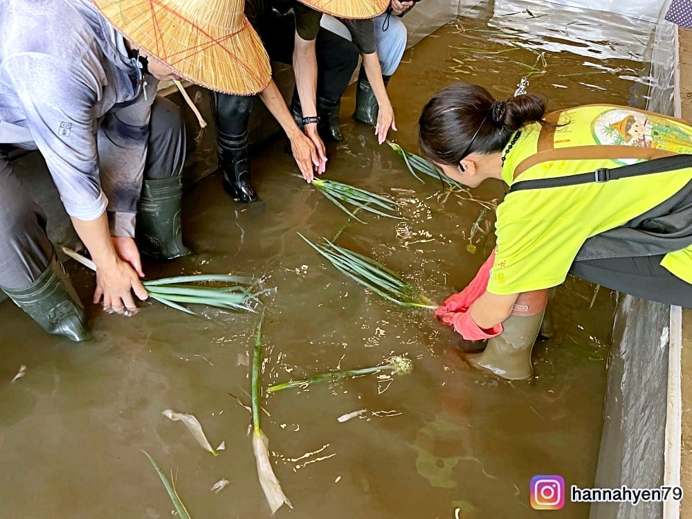 宜蘭三星║初咪體驗農場║宜蘭農場║DIY蔥麵包║蔥油餅║宜蘭旅遊║宜蘭景點║宜蘭民宿║我不要變成黃臉婆 宜蘭三星║初咪體驗農場║宜蘭農場║DIY蔥麵包║蔥油餅║宜蘭旅遊║宜蘭景點║宜蘭民宿║我不要變成黃臉婆