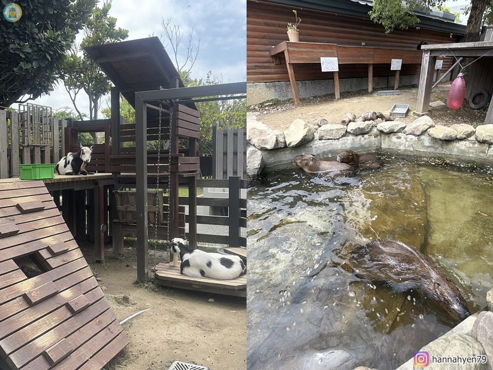桃園親子一日遊|Xpark+華泰名品城+兒童美術館這樣玩!高鐵周邊輕鬆排,小孩放電大人也不累 - 第47張圖 桃園親子一日遊|Xpark+華泰名品城+兒童美術館這樣玩!高鐵周邊輕鬆排,小孩放電大人也不累