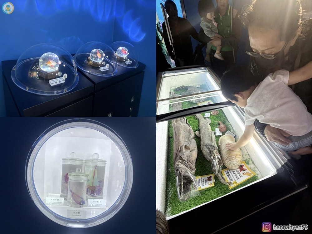 桃園親子一日遊|Xpark+華泰名品城+兒童美術館這樣玩!高鐵周邊輕鬆排,小孩放電大人也不累 - 第53張圖 桃園親子一日遊|Xpark+華泰名品城+兒童美術館這樣玩!高鐵周邊輕鬆排,小孩放電大人也不累